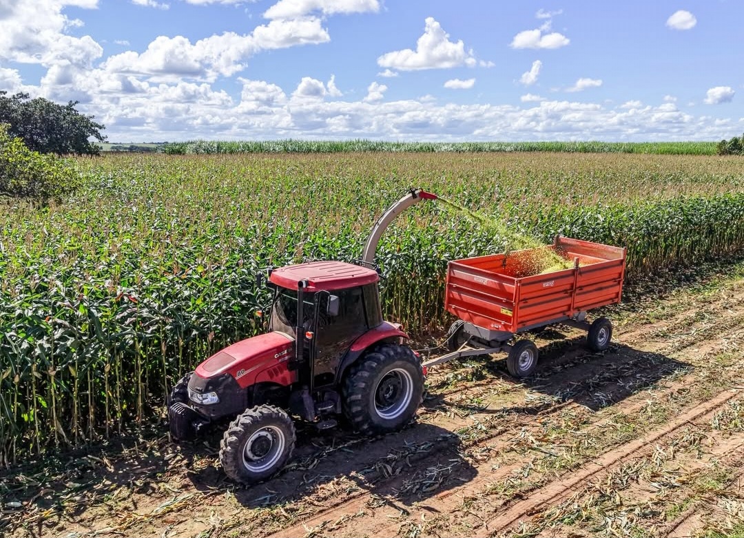 Prefeito Tiago Mateus abre Semana do Produtor Rural com Dia de Campo sobre tecnologia e silagem